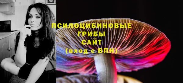 хмурый Вязьма
