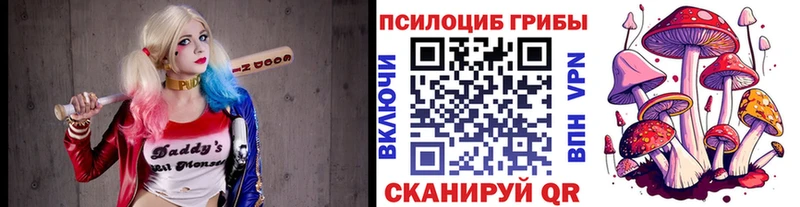 Псилоцибиновые грибы Psilocybine cubensis  MEGA ТОР  Гусиноозёрск 